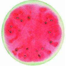 2015 heißes verkaufendes rundes Badetuch der Wassermelone mit Quasten